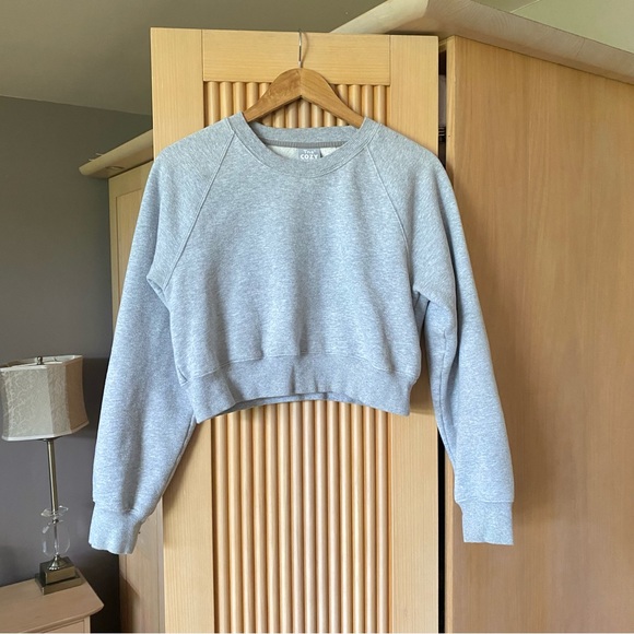 Aritzia Tops - Aritzia Tna Cozy Fleece Perfect Raglan Sweatshirt grey